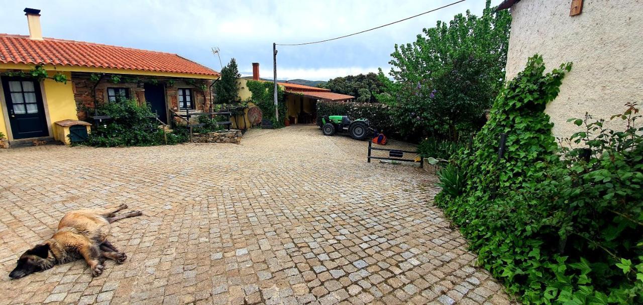 Quinta Do Chao D'Ordem Villa Vila Nova de Foz Coa Kültér fotó